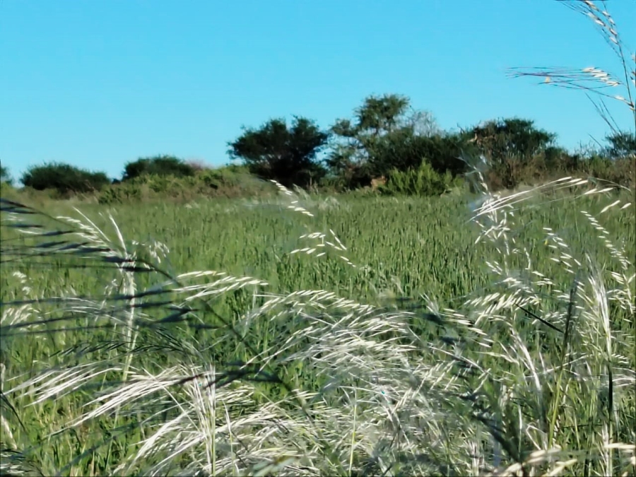 Commercial Property for Sale in Kenhardt Northern Cape